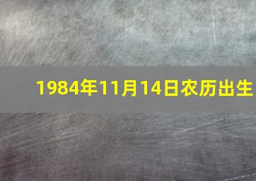 1984年11月14日农历出生