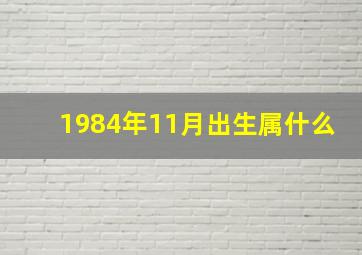 1984年11月出生属什么