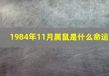 1984年11月属鼠是什么命运