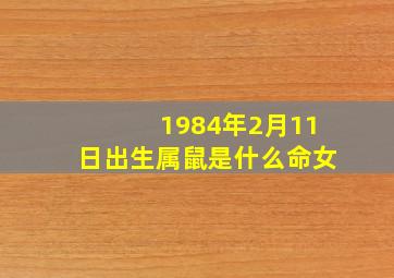 1984年2月11日出生属鼠是什么命女