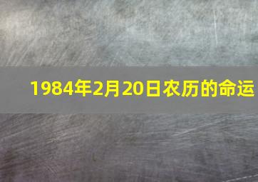 1984年2月20日农历的命运