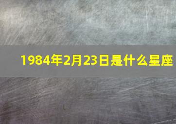 1984年2月23日是什么星座