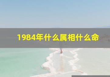 1984年什么属相什么命