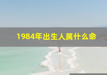 1984年出生人属什么命