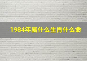 1984年属什么生肖什么命