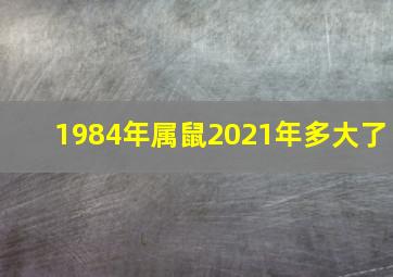 1984年属鼠2021年多大了