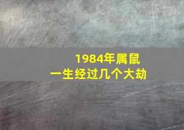 1984年属鼠一生经过几个大劫