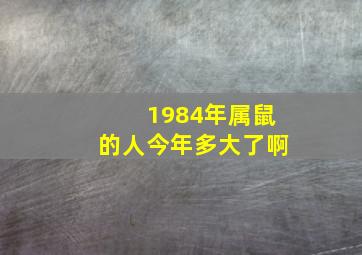 1984年属鼠的人今年多大了啊