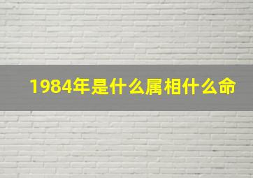 1984年是什么属相什么命