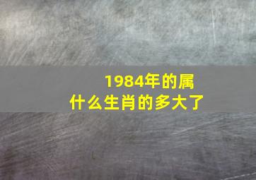 1984年的属什么生肖的多大了