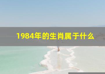 1984年的生肖属于什么