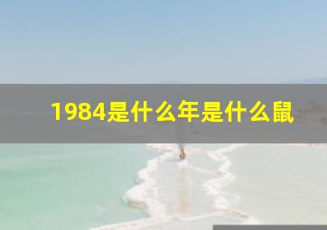 1984是什么年是什么鼠