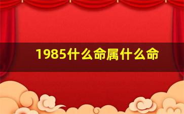 1985什么命属什么命