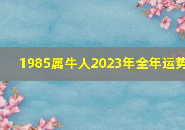 1985属牛人2023年全年运势