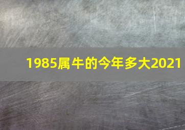 1985属牛的今年多大2021