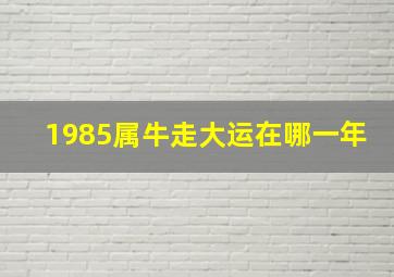 1985属牛走大运在哪一年