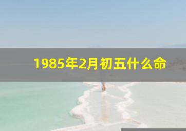 1985年2月初五什么命