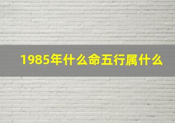 1985年什么命五行属什么