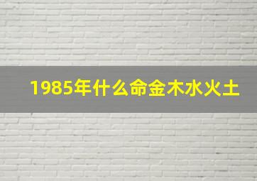 1985年什么命金木水火土