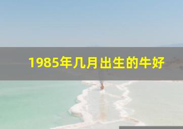 1985年几月出生的牛好