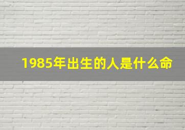 1985年出生的人是什么命