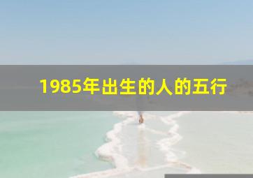 1985年出生的人的五行