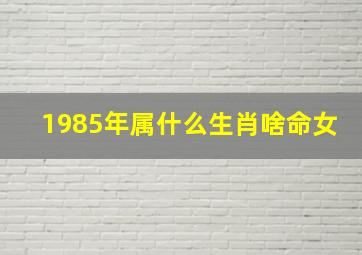 1985年属什么生肖啥命女