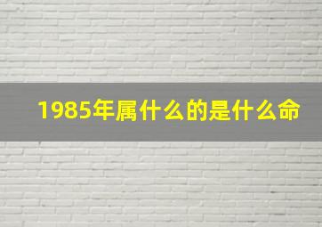 1985年属什么的是什么命