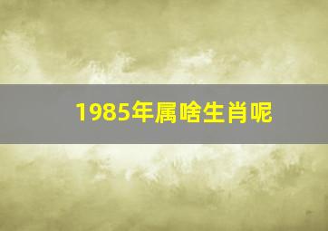 1985年属啥生肖呢