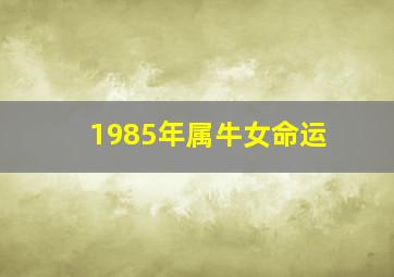 1985年属牛女命运