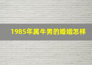 1985年属牛男的婚姻怎样