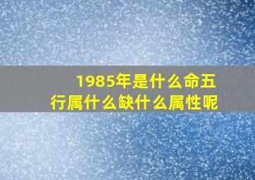 1985年是什么命五行属什么缺什么属性呢