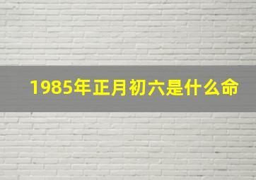 1985年正月初六是什么命