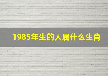 1985年生的人属什么生肖