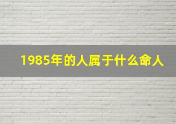 1985年的人属于什么命人