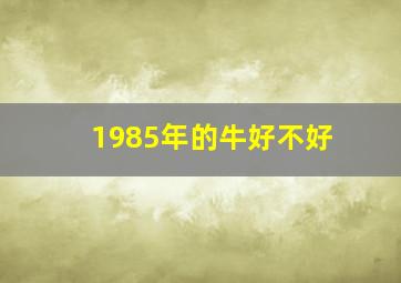 1985年的牛好不好