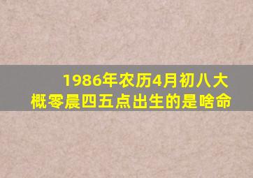 1986年农历4月初八大概零晨四五点出生的是啥命