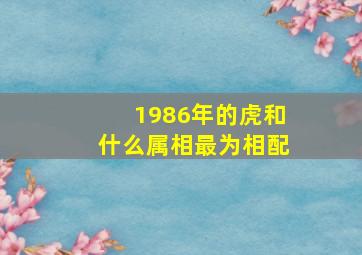 1986年的虎和什么属相最为相配