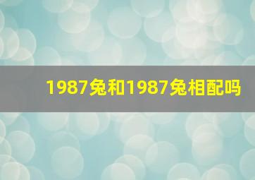 1987兔和1987兔相配吗