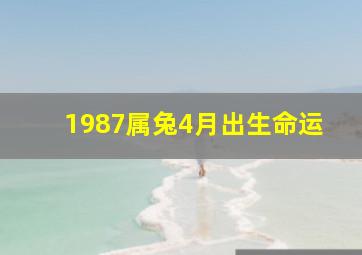 1987属兔4月出生命运