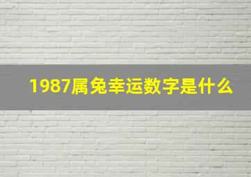 1987属兔幸运数字是什么