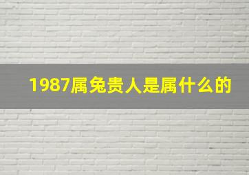 1987属兔贵人是属什么的