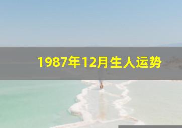 1987年12月生人运势