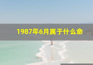 1987年6月属于什么命