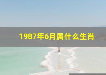 1987年6月属什么生肖