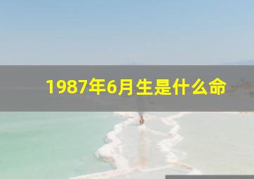 1987年6月生是什么命