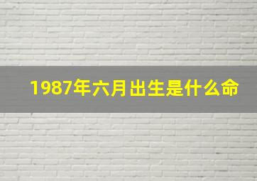 1987年六月出生是什么命