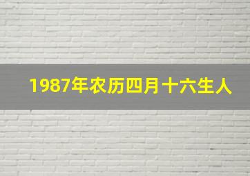 1987年农历四月十六生人