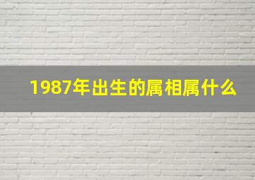 1987年出生的属相属什么