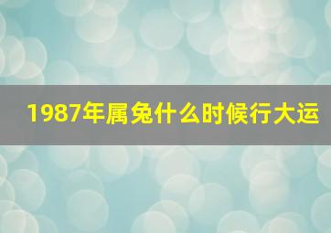 1987年属兔什么时候行大运